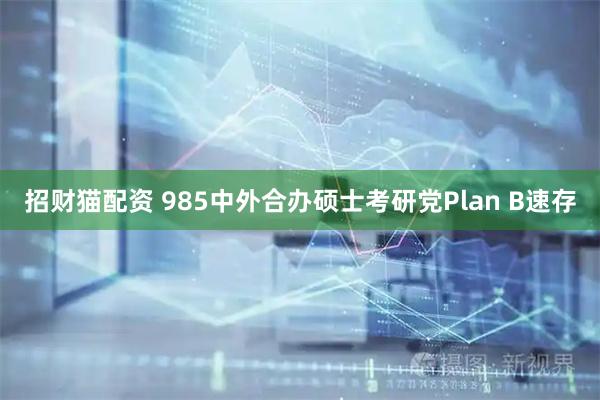 招财猫配资 985中外合办硕士考研党Plan B速存